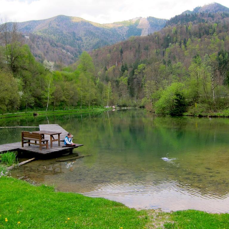 Kleinreifling Romantische Ferienhuette Nationalpark Kalkalpen, Sonnig, 2 Schlafzimmer, Wlan מראה חיצוני תמונה