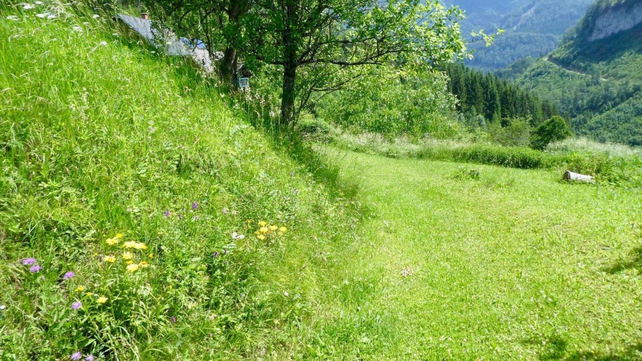 Kleinreifling Romantische Ferienhuette Nationalpark Kalkalpen, Sonnig, 2 Schlafzimmer, Wlan מראה חיצוני תמונה