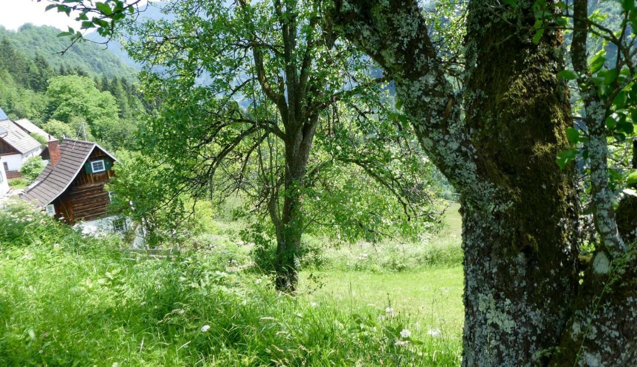 Kleinreifling Romantische Ferienhuette Nationalpark Kalkalpen, Sonnig, 2 Schlafzimmer, Wlan מראה חיצוני תמונה